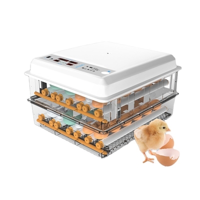 120 Multifunctional Fully Automatic Chicken Egg Incubator Quail Guinea Goose Bird Egg Hatcher Household Incubators For Sale