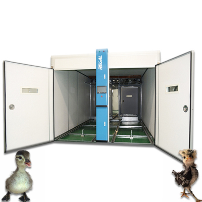 Cultures Patent Technology 90720 Fully Automatic Eggs Tunnel Incubator For Hatchery