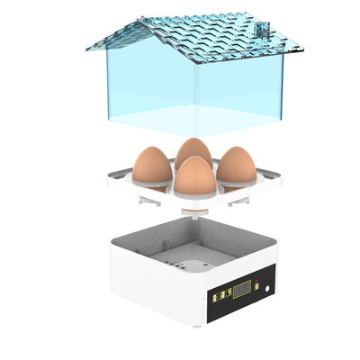 Automatic Farms 4 Egg Farm Equipment Incubator Temperature Humidity Controller For Sale In